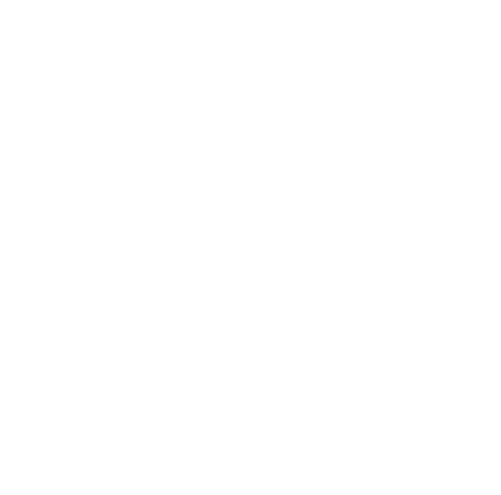 Salzburger Prototypenschmiede